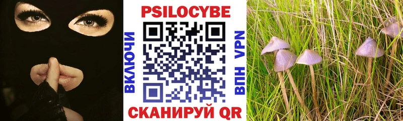 Галлюциногенные грибы прущие грибы дарк нет наркотические препараты Зуевка цены наркотик ОМГ ОМГ зеркало